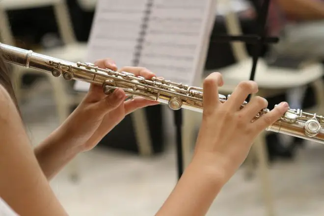 Tipos de flautas