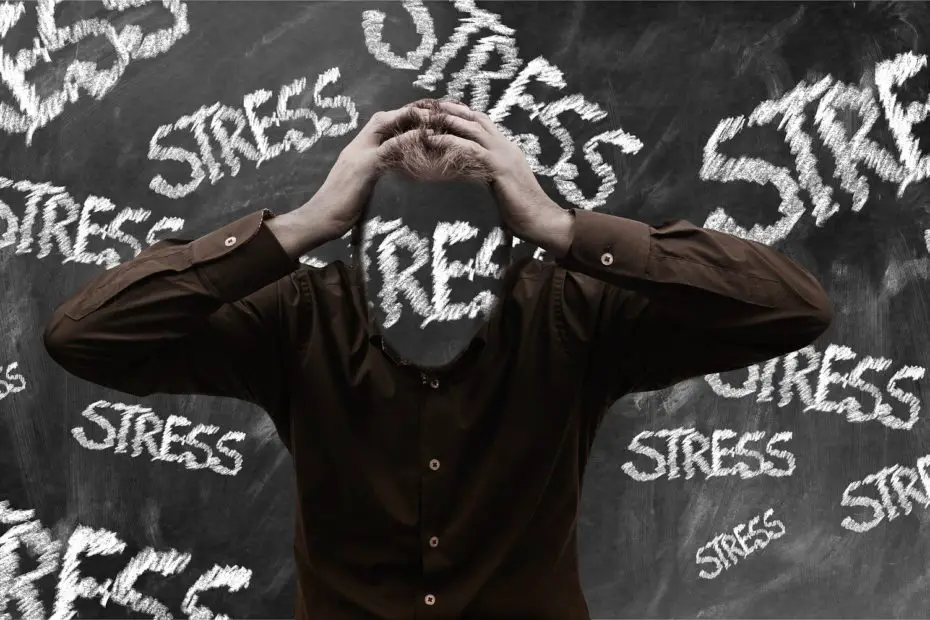 Tipos de stress